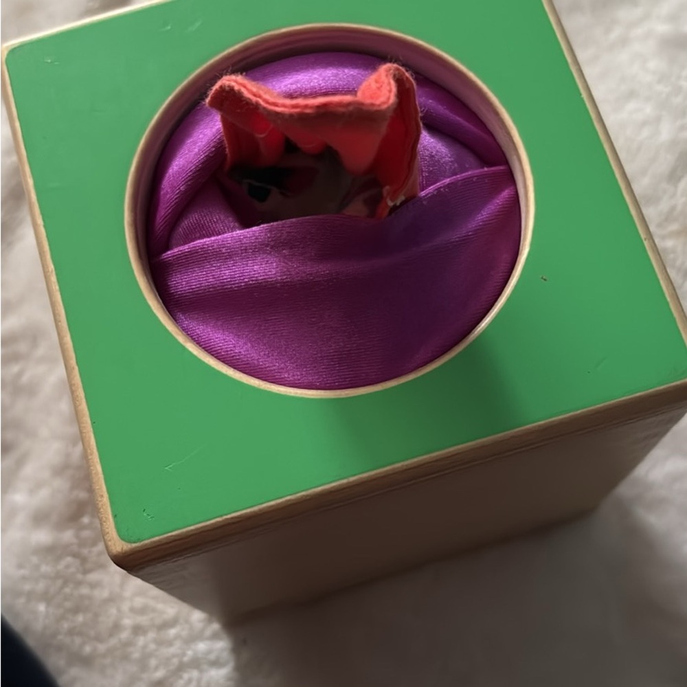 Colorful Wooden Peekaboo Toy